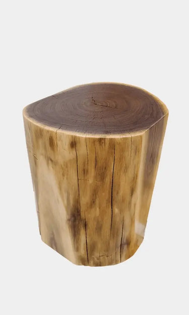 Live Edge Black Walnut Finished Stump Stool/Stump Table